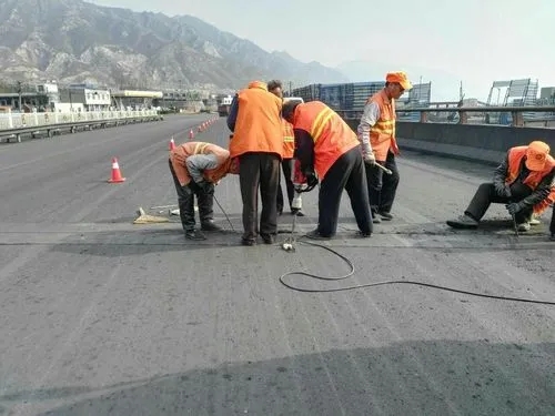 阳西道路桥梁病害治理